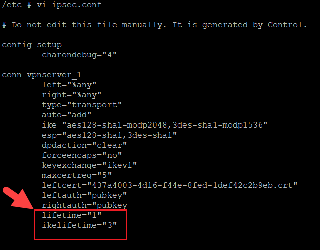ipsec_lifetime.png