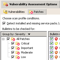 LanGuard Severity Options